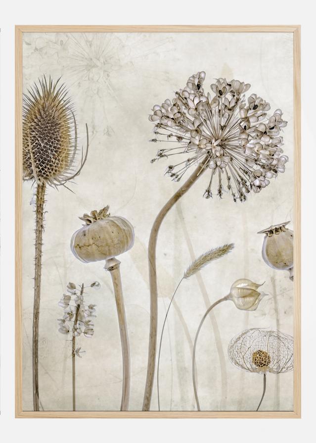 Growing Old Įrašai