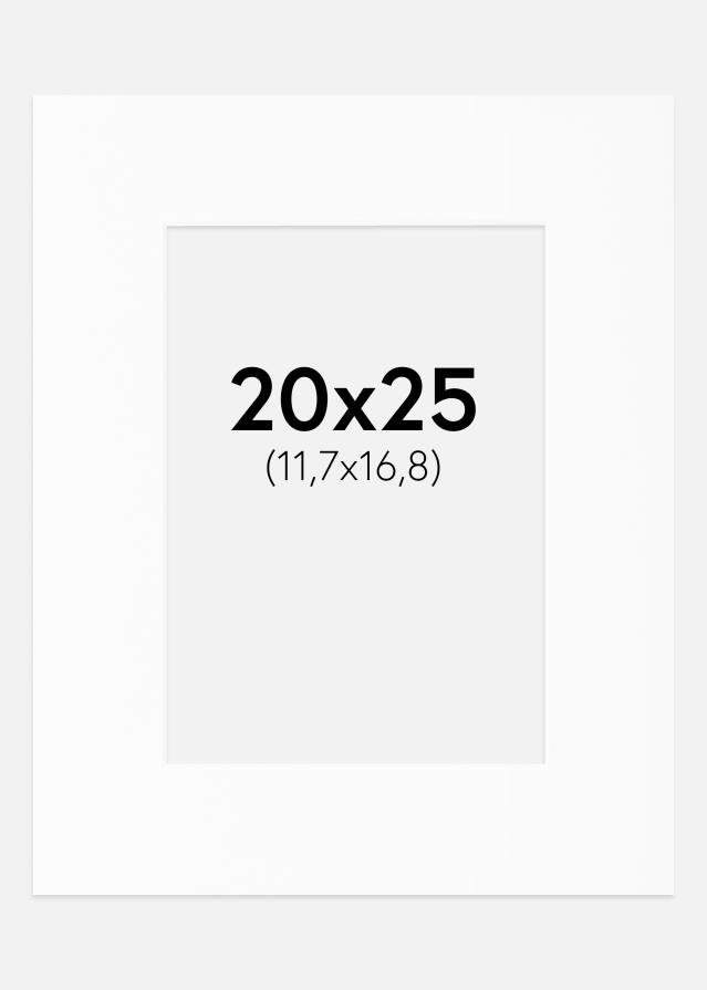 Paspartu Baltas Standartas Balta šerdis 20x25 cm (11,7x16,8)