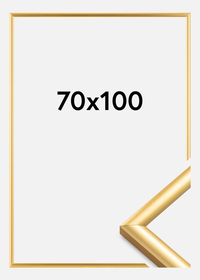 Rėmas Trendstyle Auksas 70x100 cm