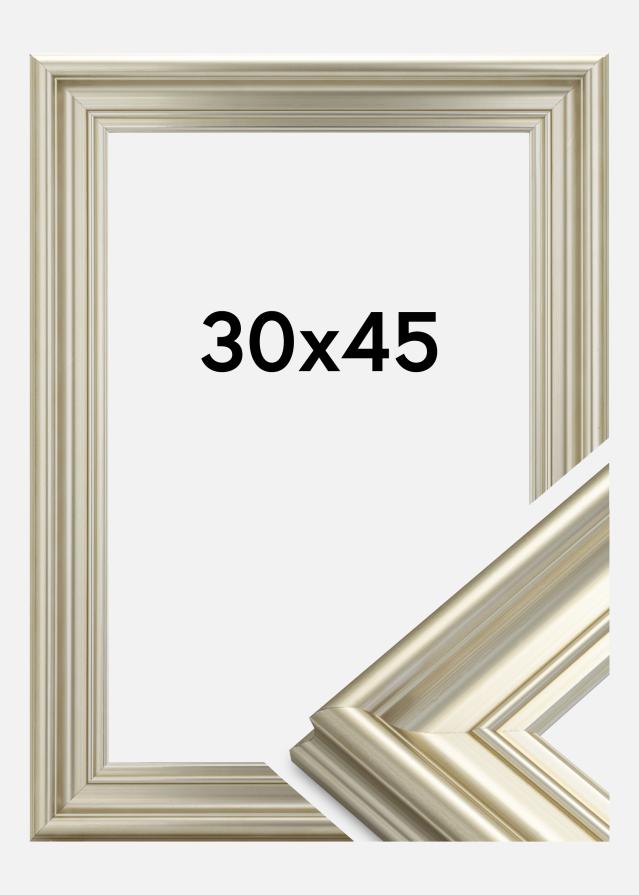 Rėmas Mora Premium Sidabras 30x45 cm