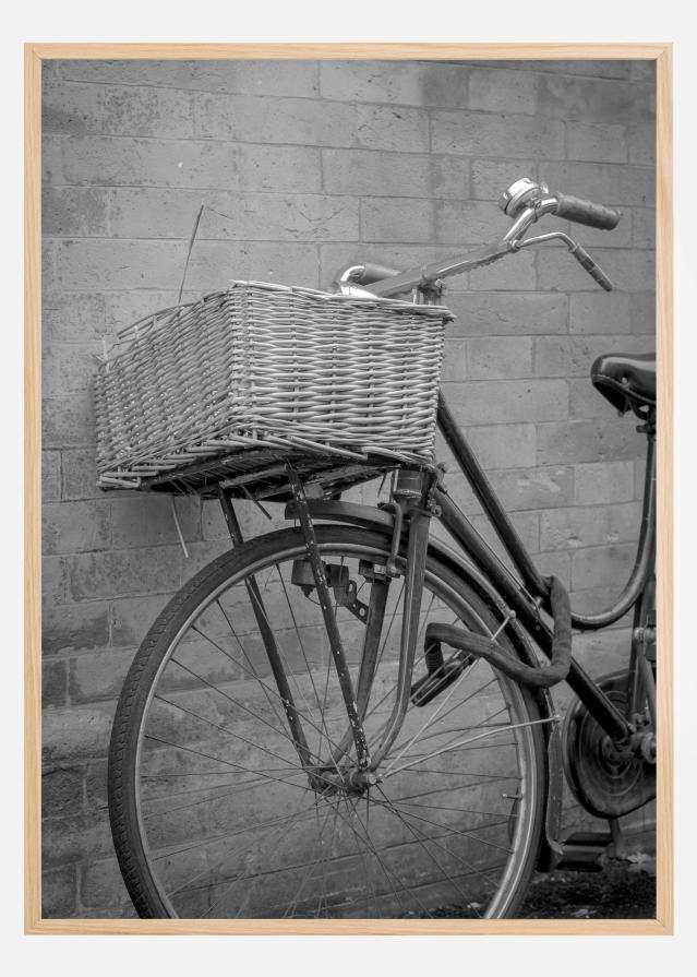 Bicycle Basket Įrašai