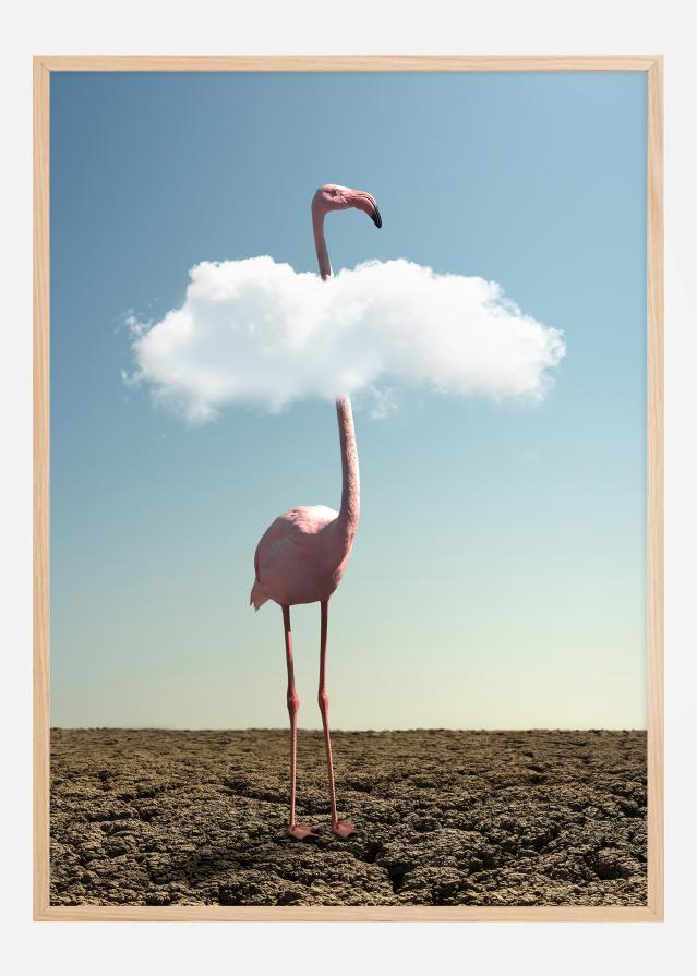 Cloudy Flamingo Įrašai