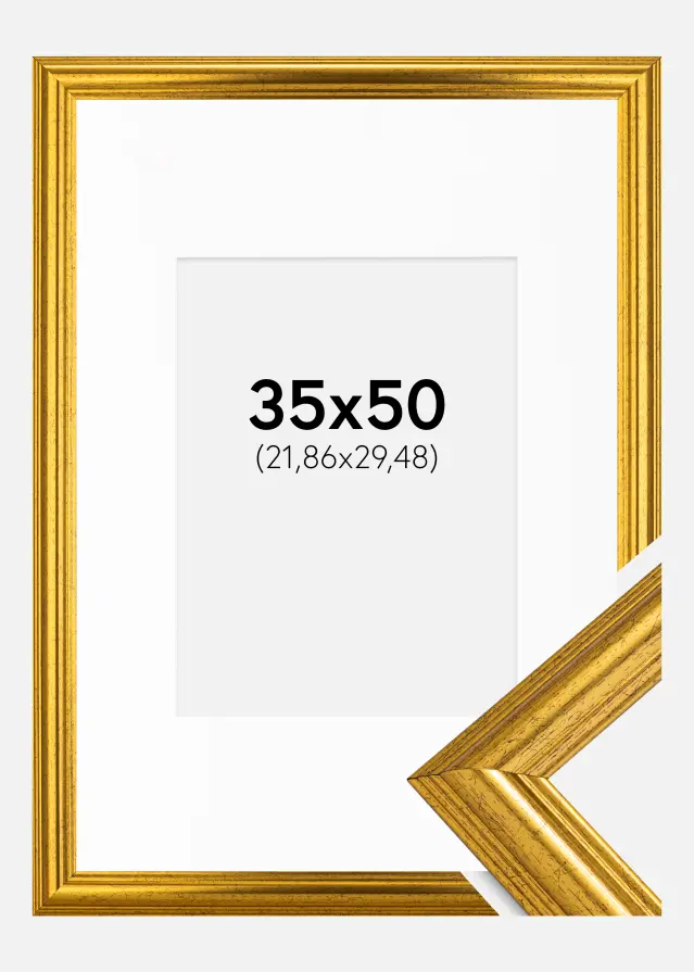 Rėmas Västkusten Auksas 35x50 cm - Paspartu Baltas 9x12 inches
