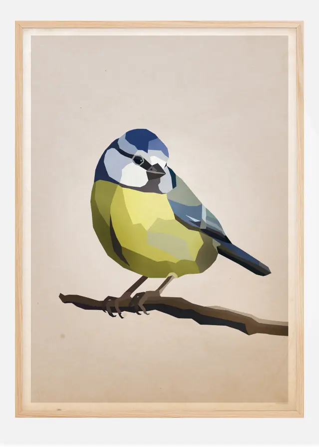 Blue tit Įrašai