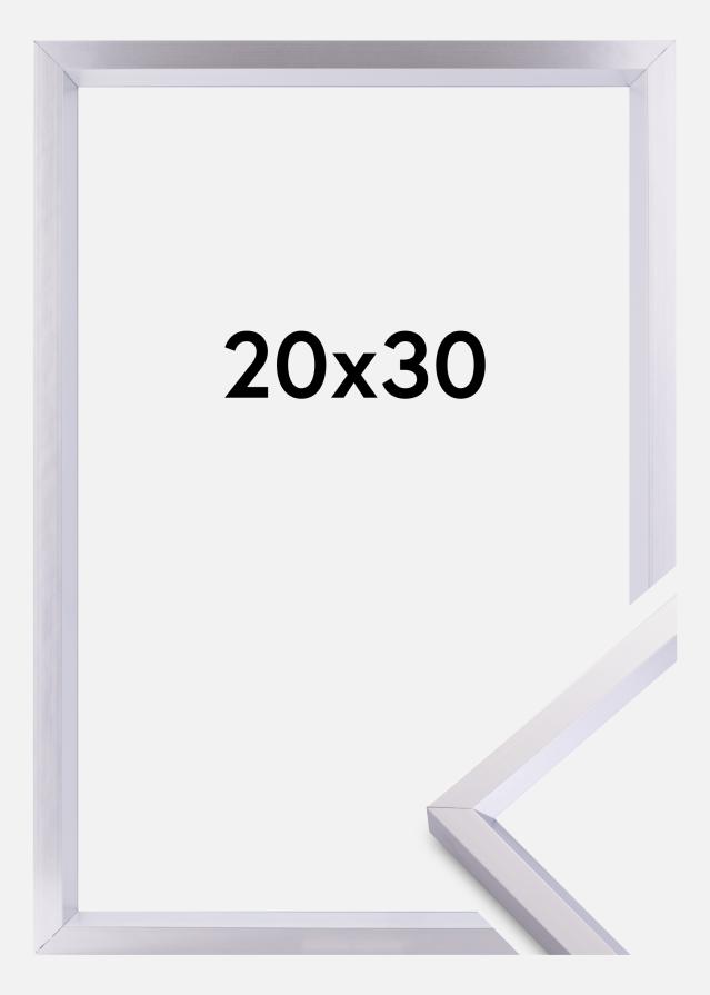 Rėmas Steel Style Sidabras 20x30 cm