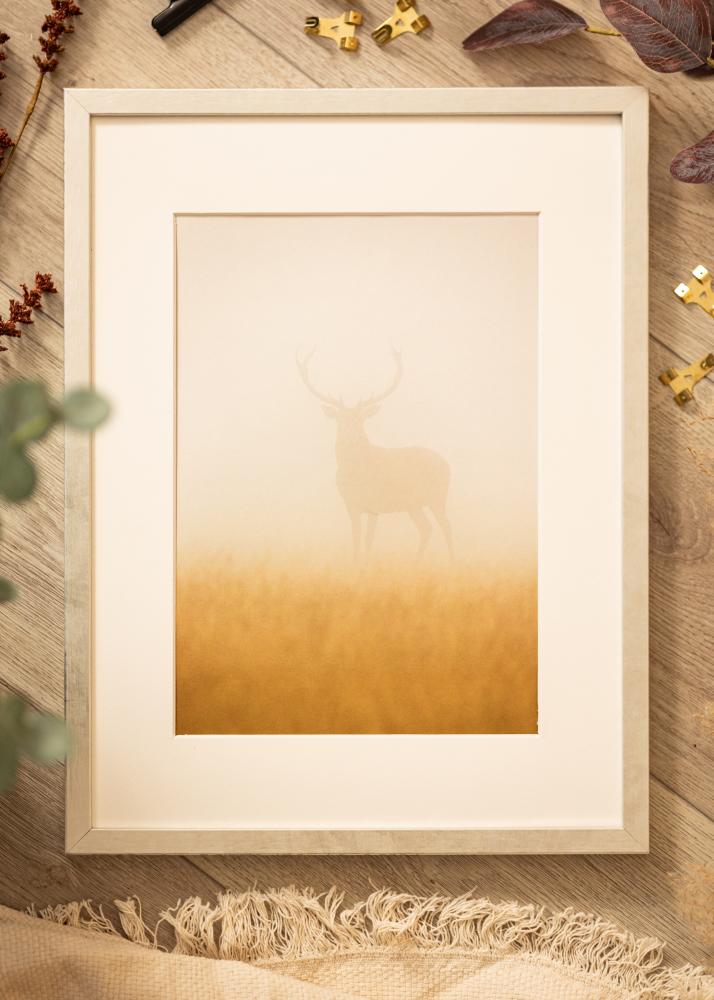 Rėmas Ares Akrilo stiklas Sidabras 30x45 cm