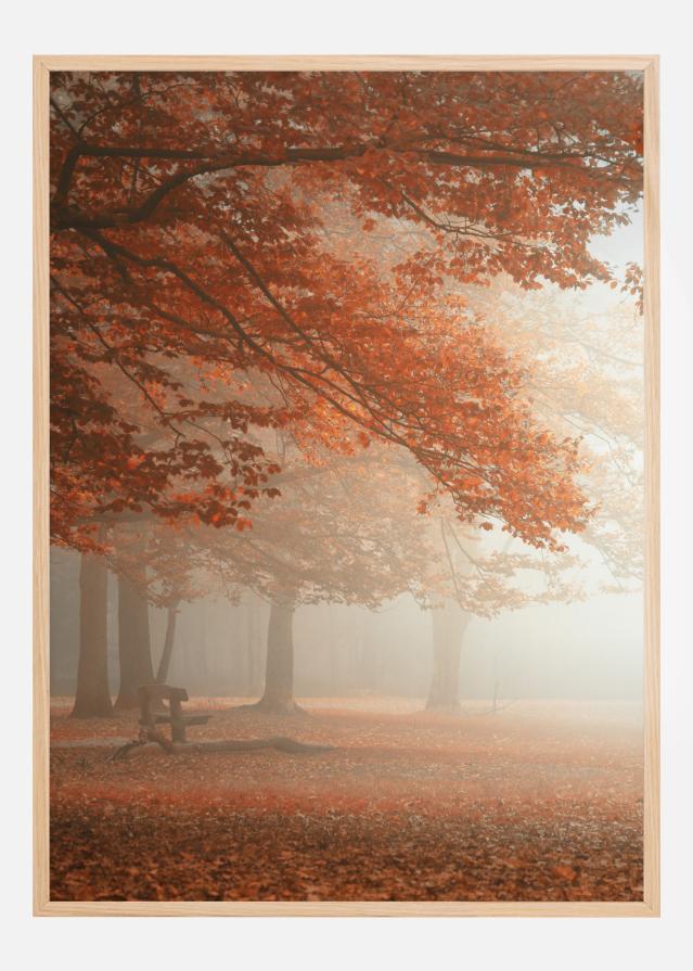 The Wonders Of Nature Įrašai