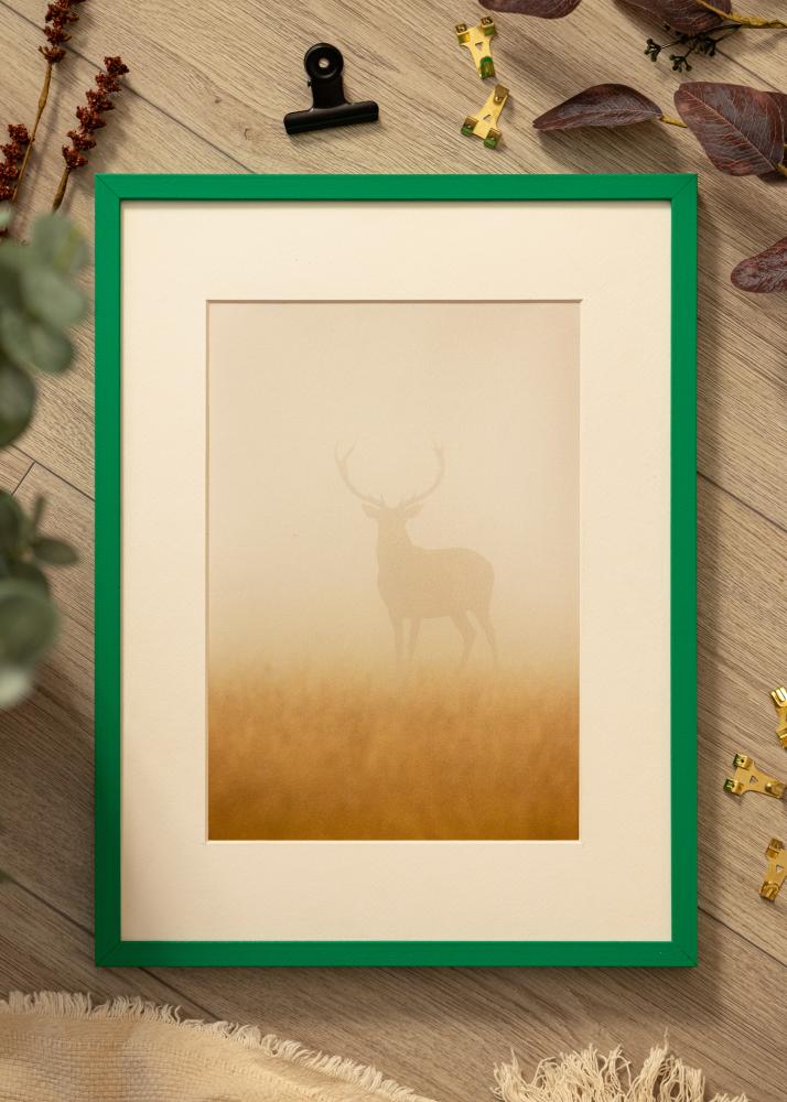 Colorful Akrilo stiklas Žalias 42x59,4 cm (A2)