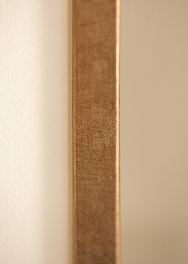 Rėmas Ares Akrilo stiklas Žalvaris 20x28 cm