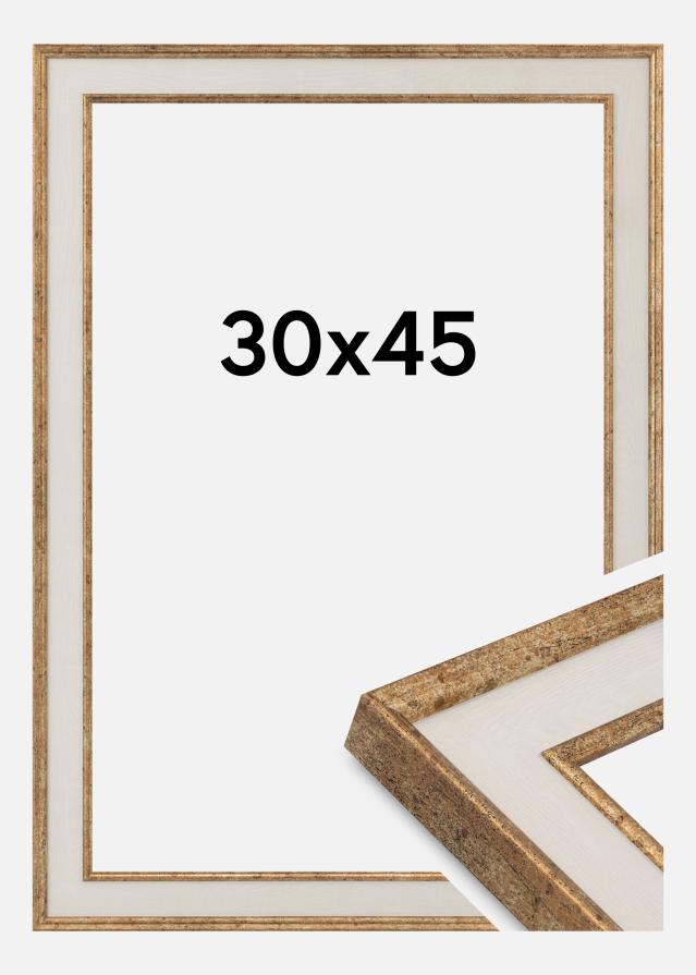Rėmas Dolly Akrilo stiklas Auksas 30x45 cm