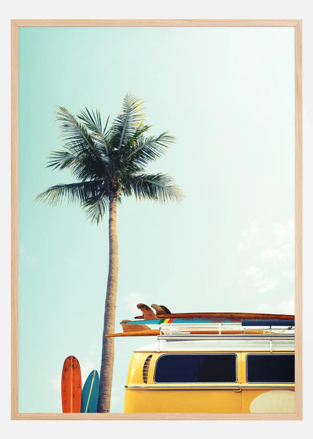 Leisure Trip Įrašai