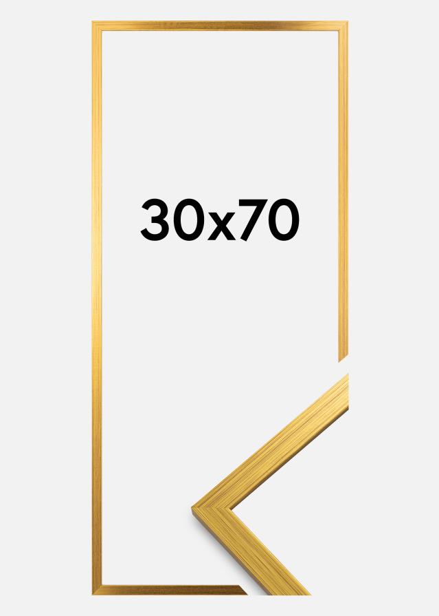 Rėmas Edsbyn Auksas 30x70 cm