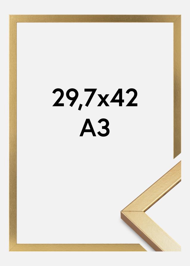 Rėmas Minerva Akrilo stiklas Auksas 29,7x42 cm (A3)