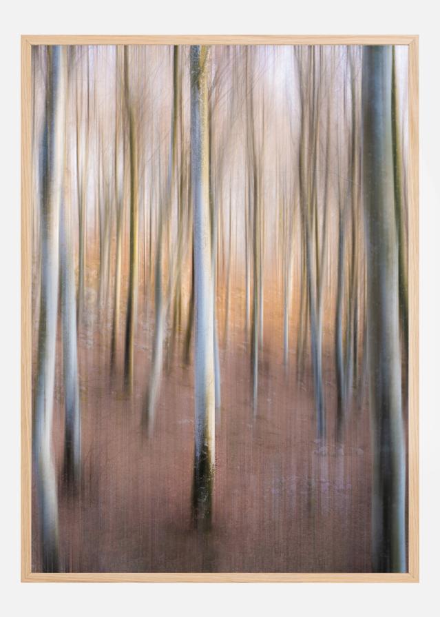 Magic Woodland Įrašai