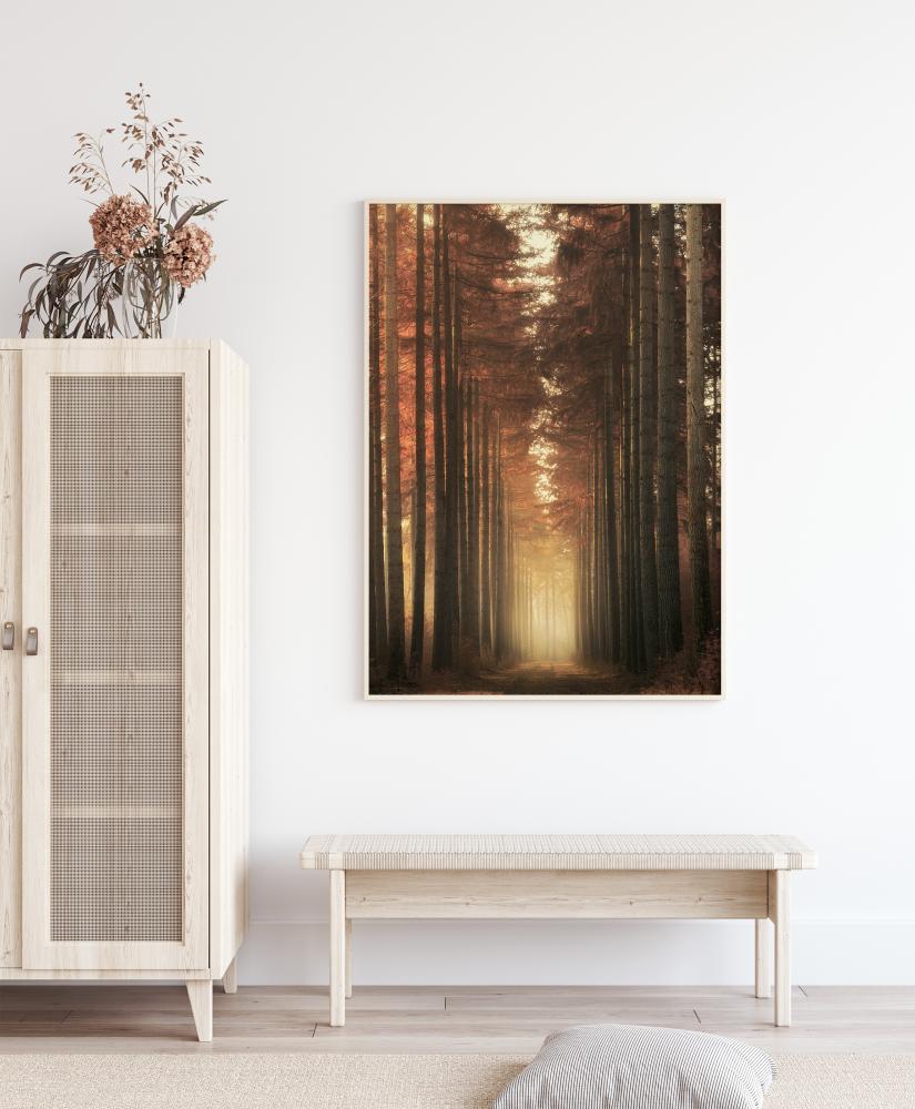 Light Burning Įrašai