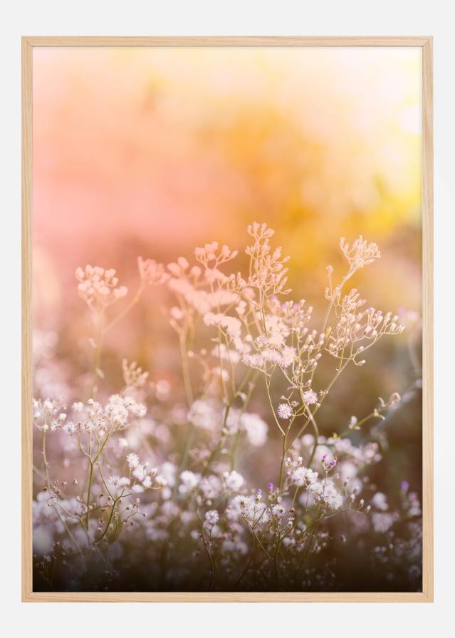 A Beautiful Summer Evening Įrašai