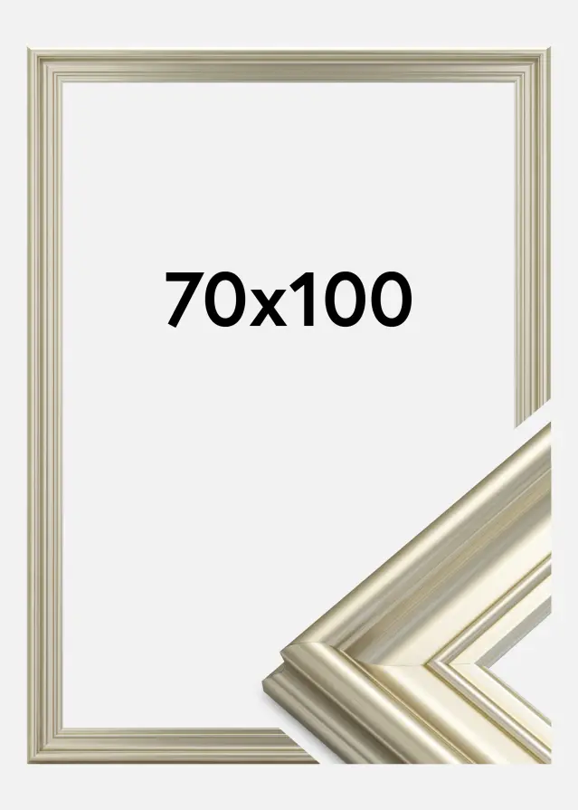 Rėmas Mora Premium Sidabras 70x100 cm