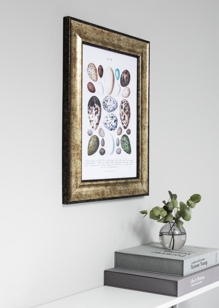 Rėmas Saltsjöbaden Antikinis auksinis 20x25 cm - Paspartu Juodas 13x19,5 cm