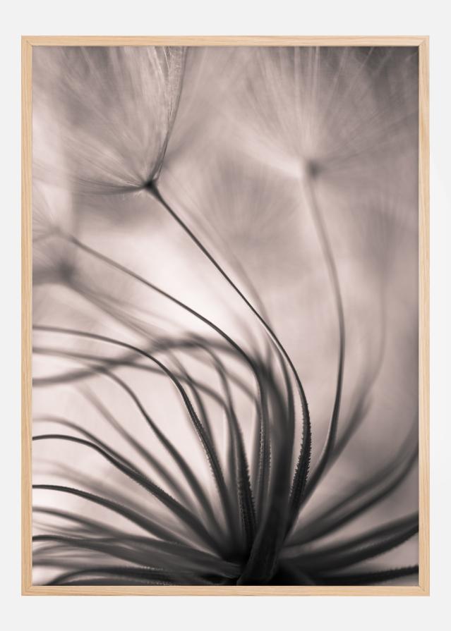 Faded Blurry Flower Įrašai