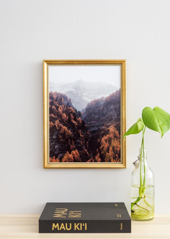 Rėmas Delighted 50x70 cm