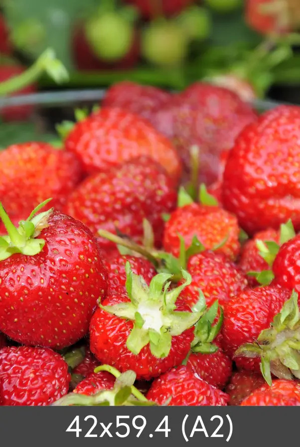 Didinimas Standartas Photo Glossy 290 g