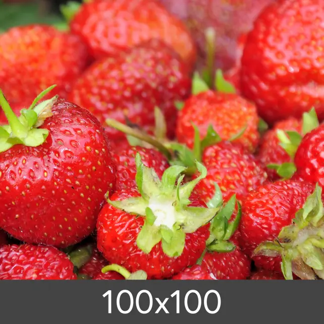 Didinimas Standartas Photo Glossy 290 g