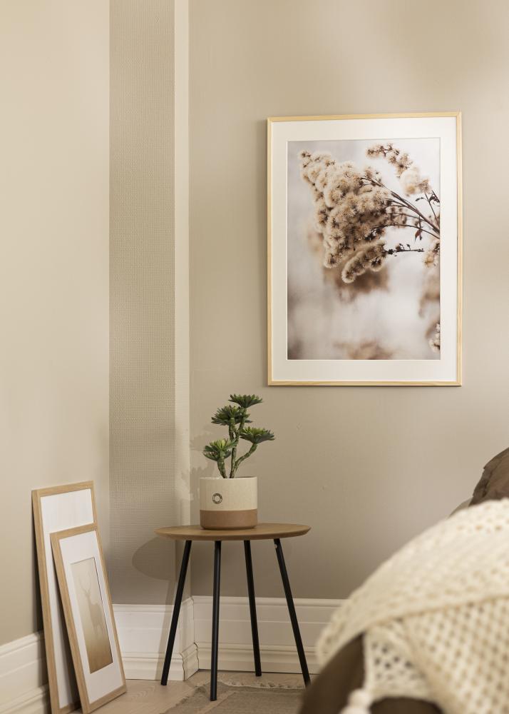 Rėmas Galant Pušis 30x30 cm - Paspartu Baltas 20x20 cm