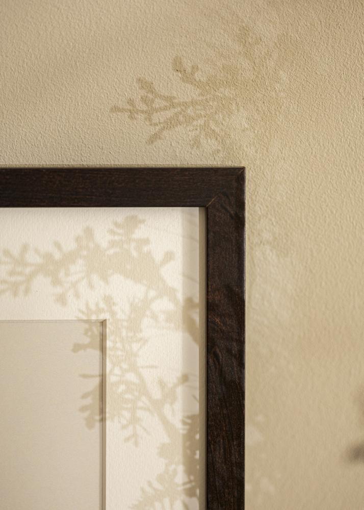 Rėmas Selection Akrylglas Riešutas 46x61 cm