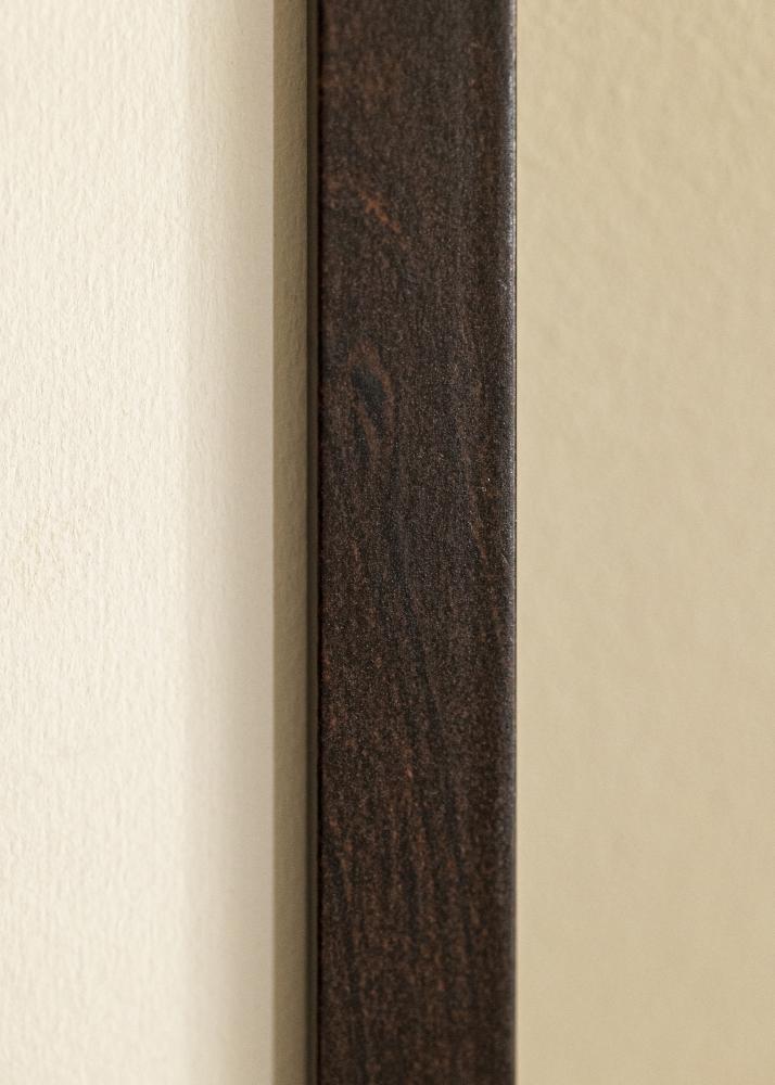 Rėmas Selection Akrylglas Riešutas 46x61 cm