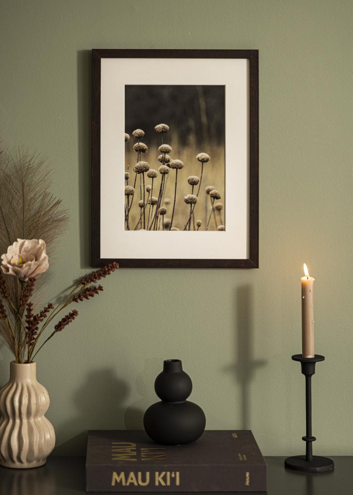 Rėmas Selection Akrylglas Riešutas 46x61 cm