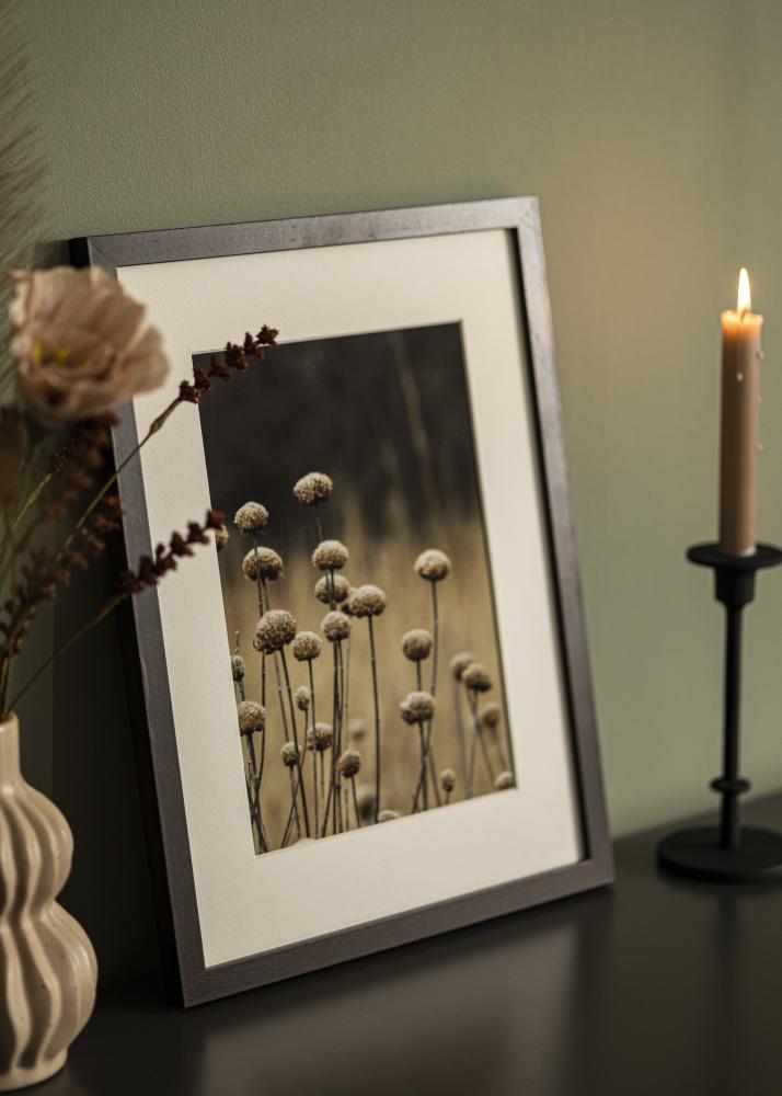 Rėmas Selection Akrylglas Riešutas 46x61 cm