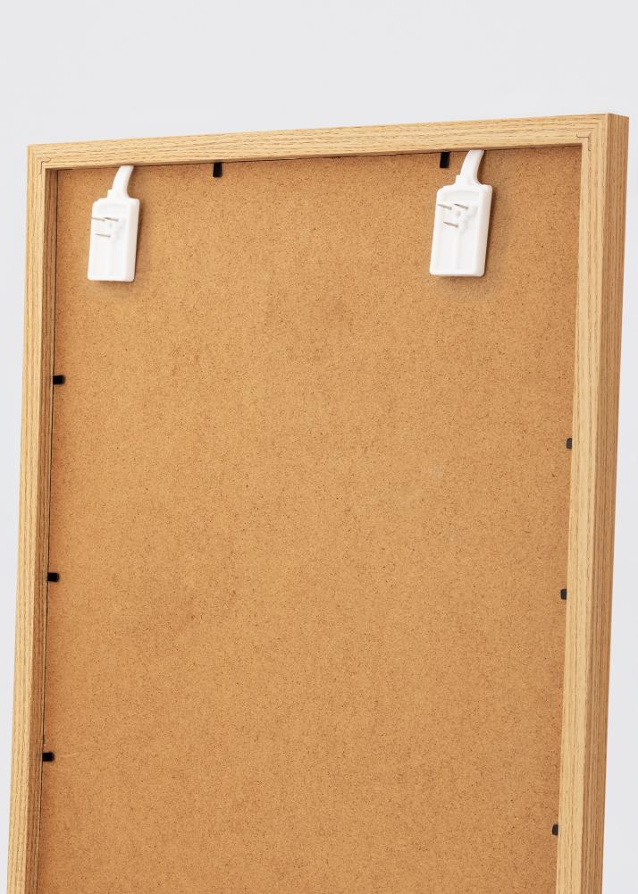 Paveikslėlių kabliukas visoms sienoms - BGA Paveikslo kablys 2-p