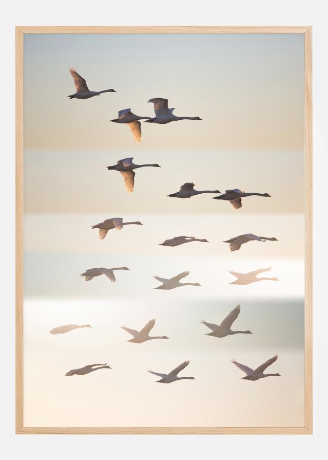 Past The Sun Įrašai