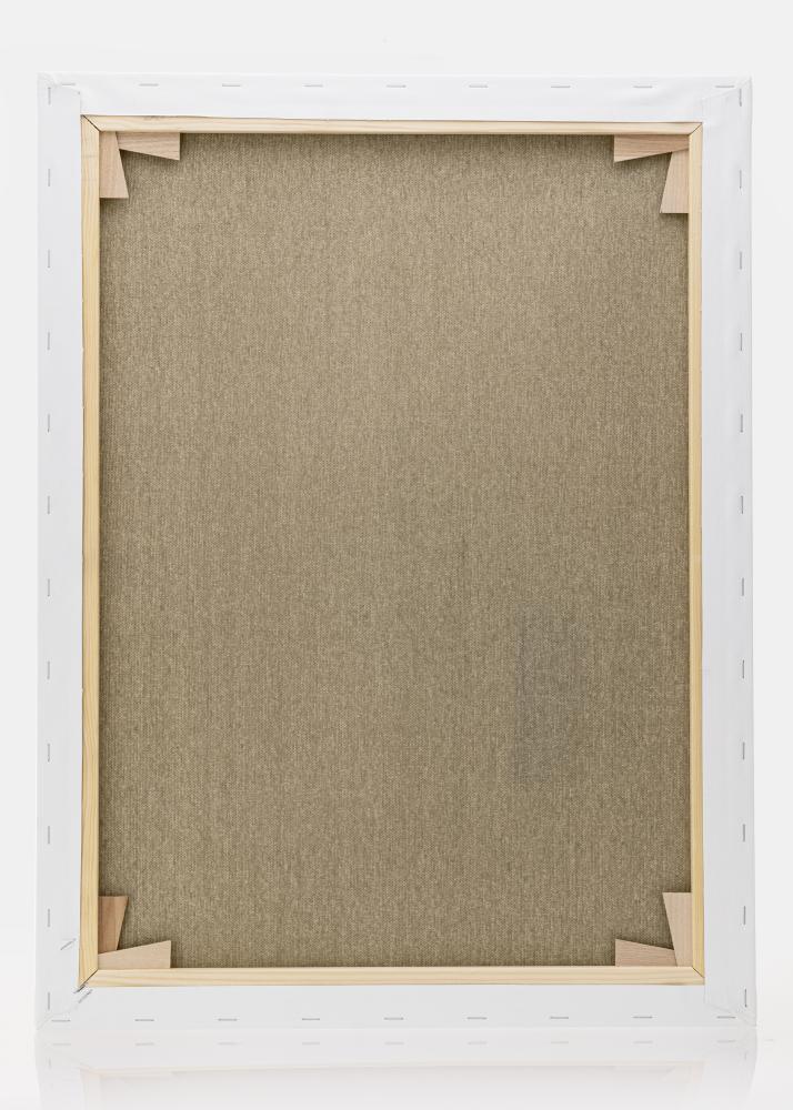 Drobė Premium Baltas 60x80 cm