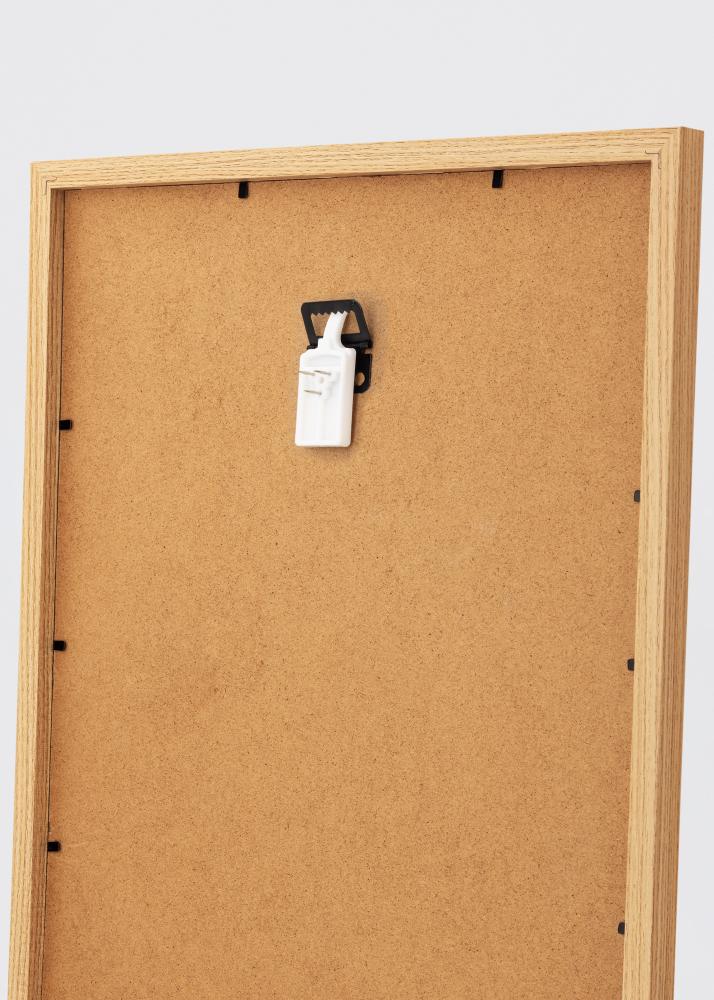 Paveikslėlių kabliukas visoms sienoms - BGA Paveikslo kablys 2-p