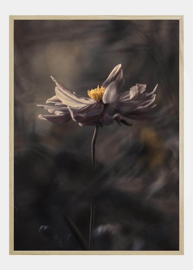 Japanese style Įrašai