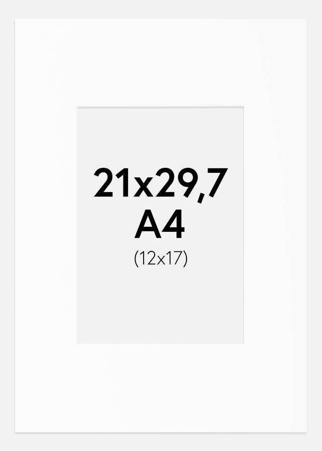 Paspartu Canson Baltas Balta šerdis A4 21x29,7 cm (12x17)