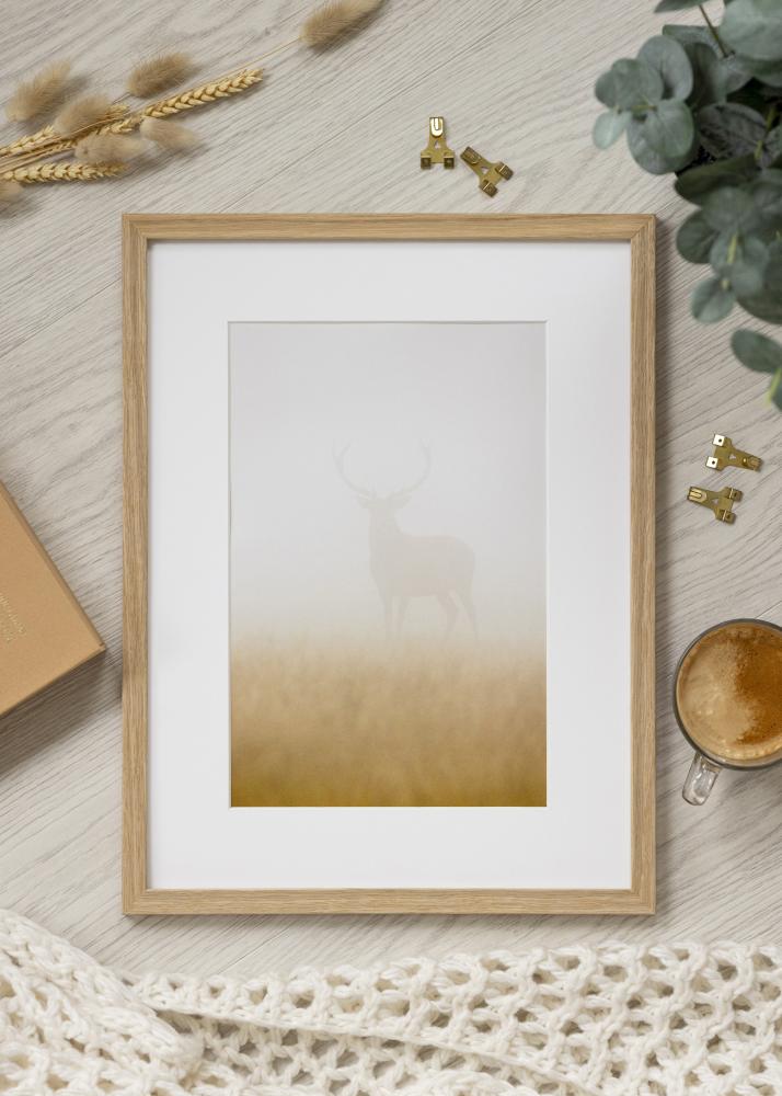 Rėmas Vemdalen Akrilo stiklas Ąžuolas 40x81 cm