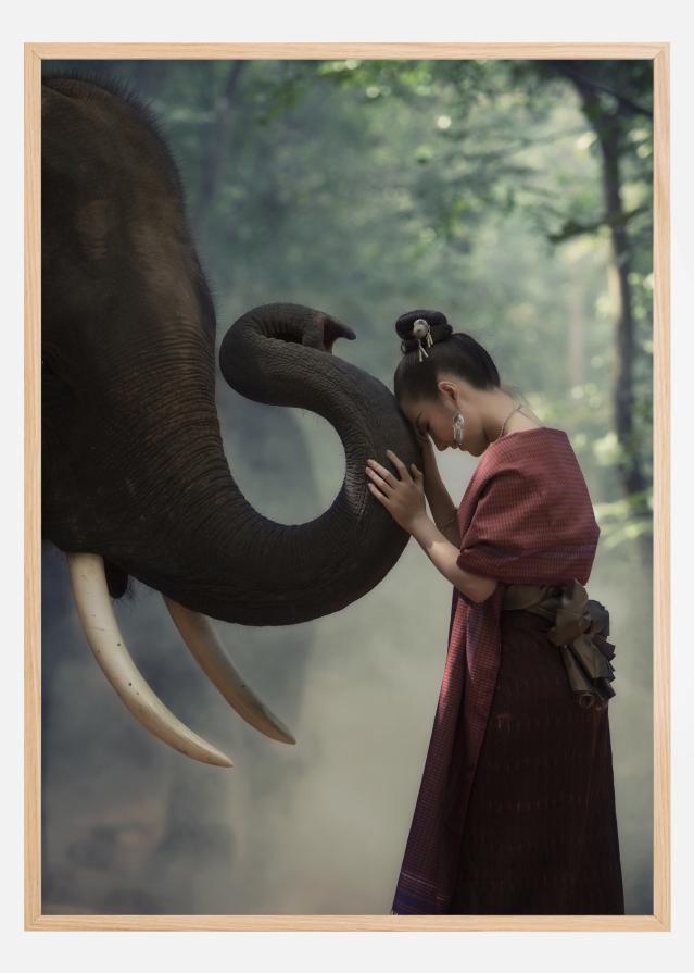 Respect the elephant Įrašai