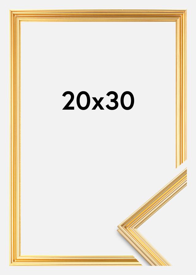 Rėmas Verona Auksas 20x30 cm