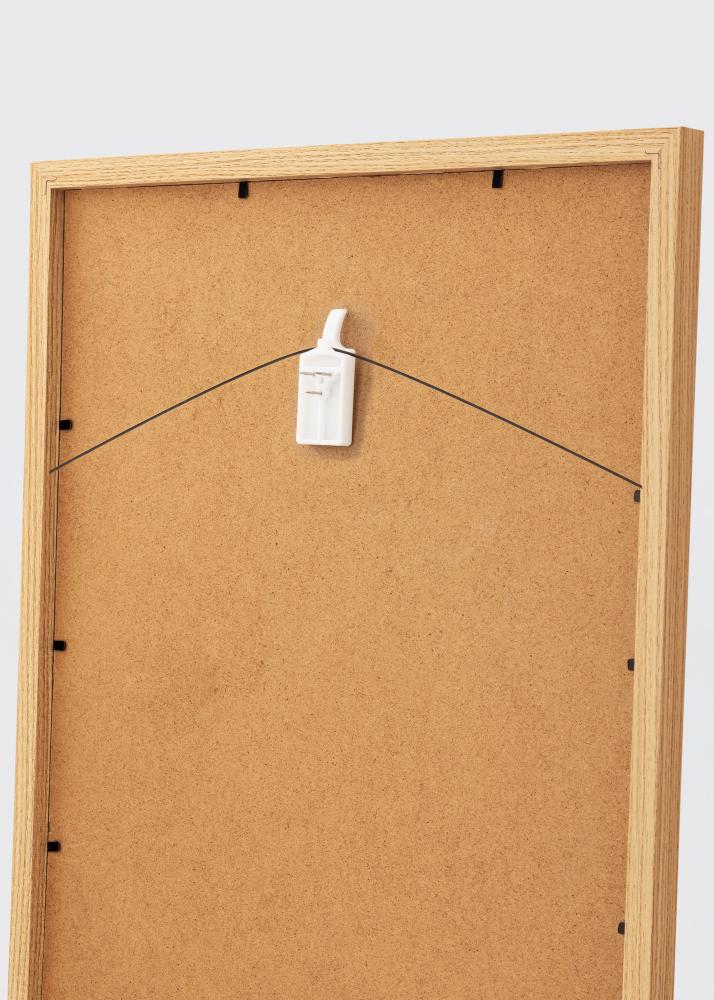 Paveikslėlių kabliukas visoms sienoms - BGA Paveikslo kablys 2-p