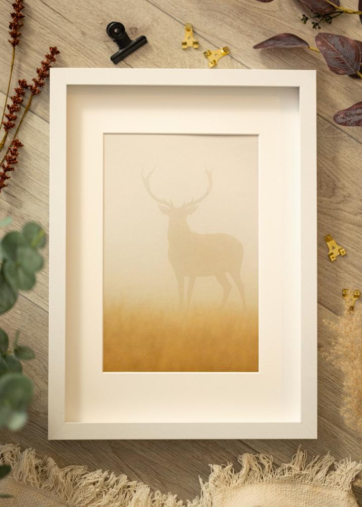 BGA Dėžutės rėmas Akrilo stiklas Baltas 21x29,7 cm (A4)