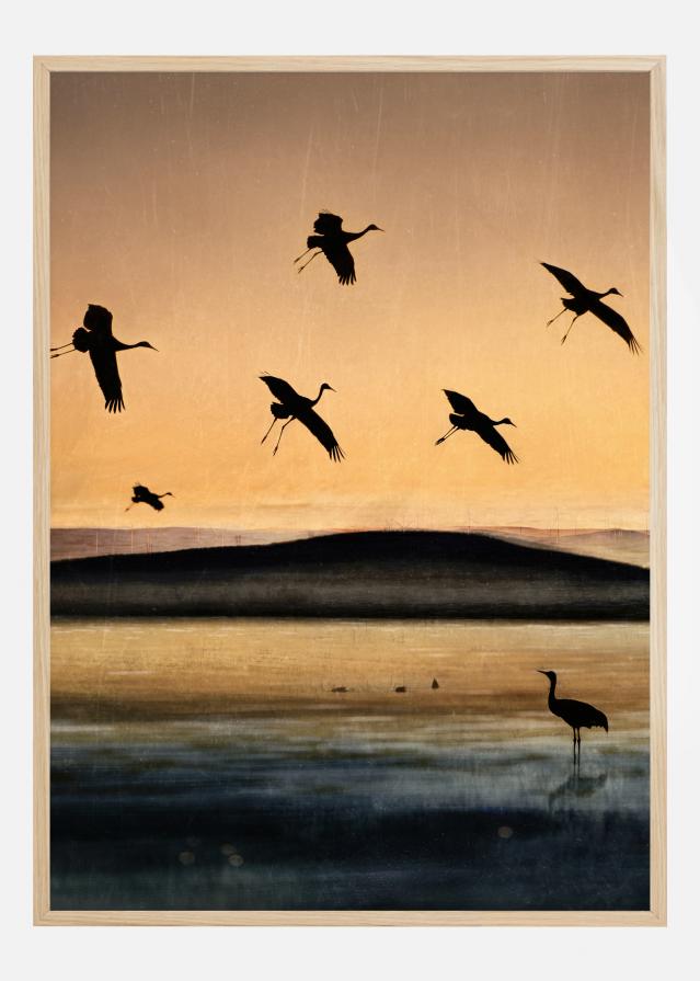 Fly-In At Sunset Įrašai