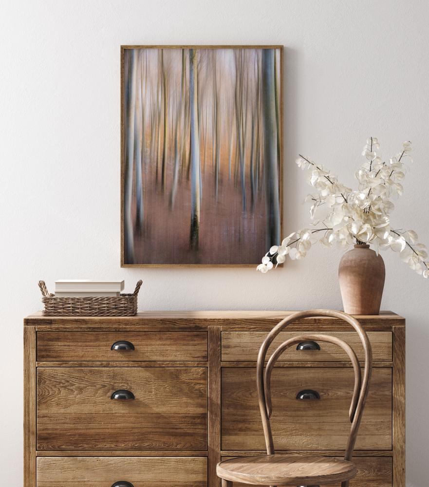 Magic Woodland Įrašai