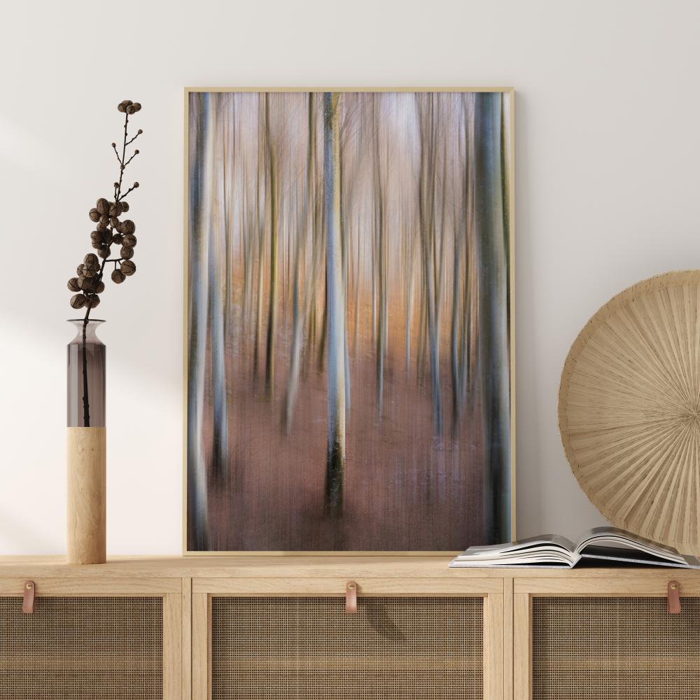 Magic Woodland Įrašai