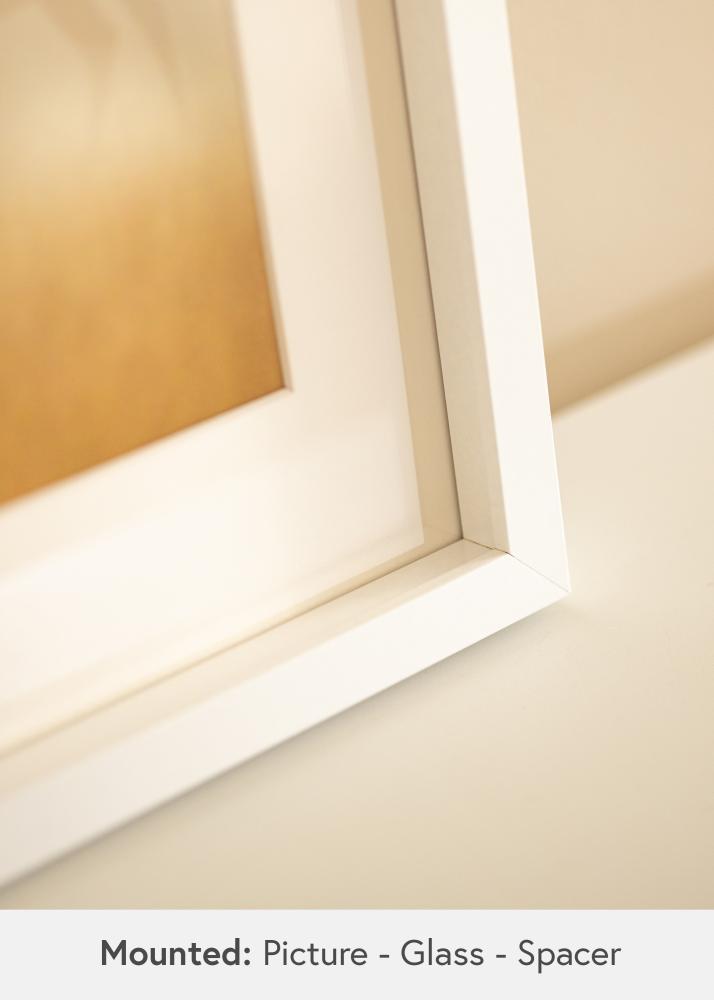 BGA Dėžutės rėmas Akrilo stiklas Baltas 21x29,7 cm (A4)