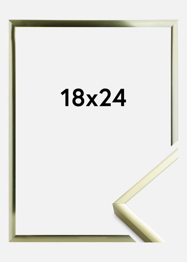 Rėmas Įrašai Frame Aluminum Gold 18x24 cm