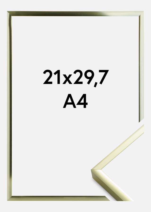 Rėmas Įrašai Frame Aluminum Gold 21x29,7 cm (A4)