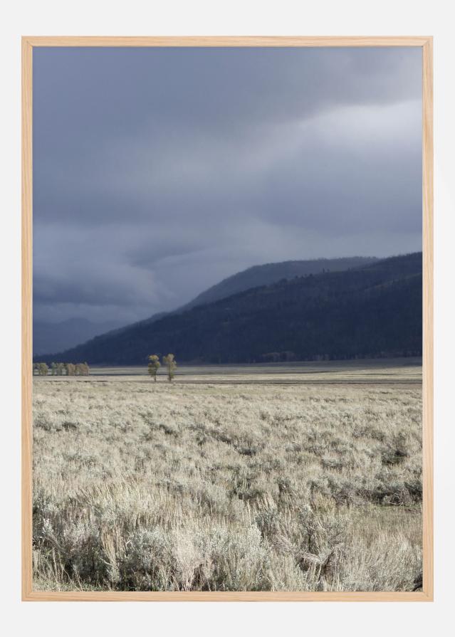 Storm Is Coming Įrašai