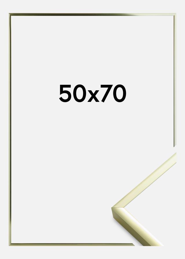 Rėmas Įrašai Frame Aluminum Gold 50x70 cm